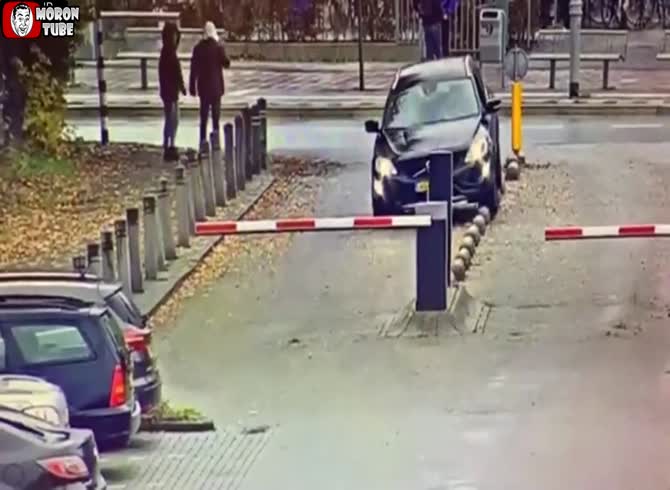 Video :Come on, self-driving automobiles!